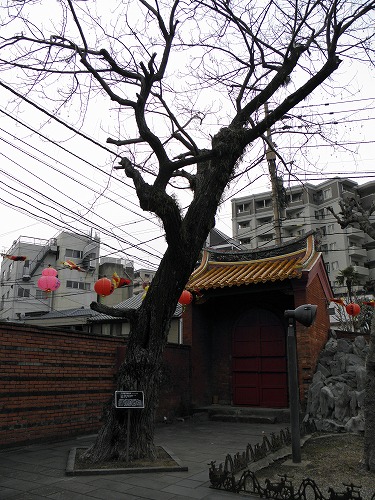 孔子廟7