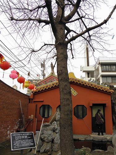 孔子廟8