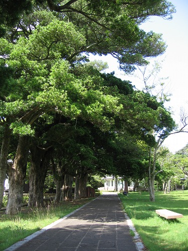 亀岡公園10