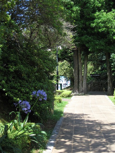 亀岡公園12