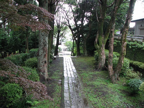 平戸9
