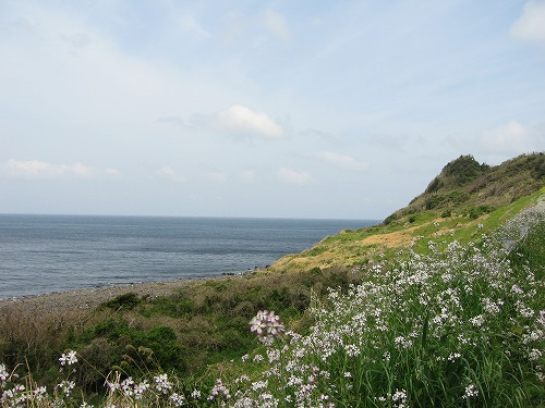 山頭草原6