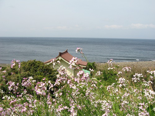 山頭草原5