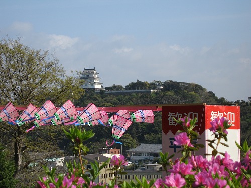 平戸つつじ祭2