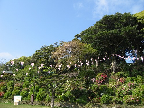平戸つつじ祭3