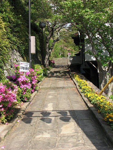 平戸つつじ祭5