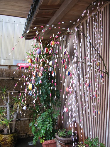 磯しげ14