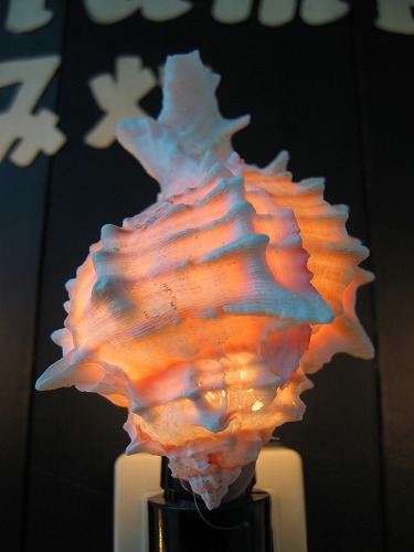 平戸物産館12