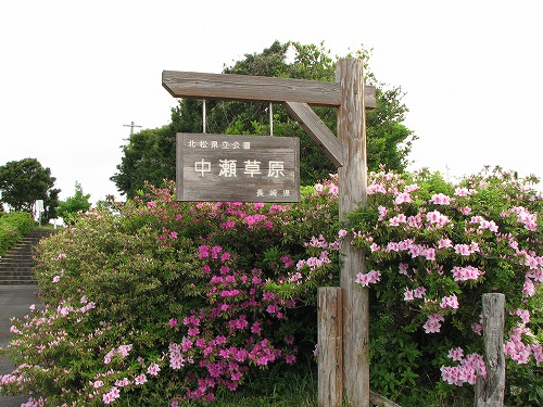 グラスハウス20