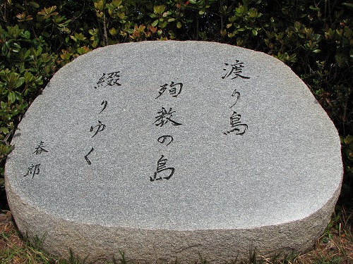大バエ灯台3