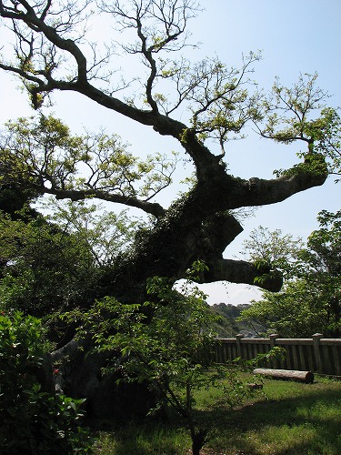 天降神社23