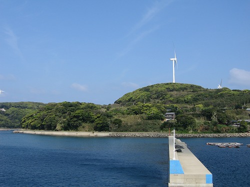 的山大島1