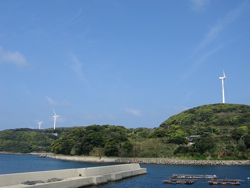 的山大島2
