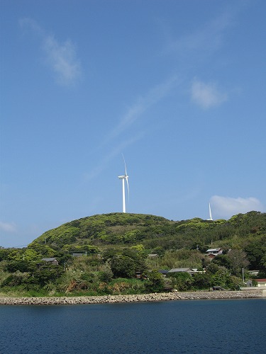的山大島18