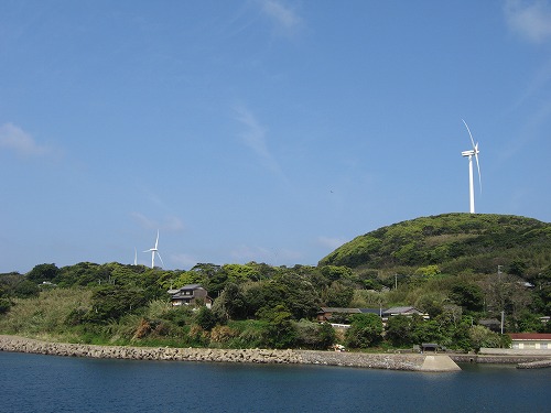 的山大島4