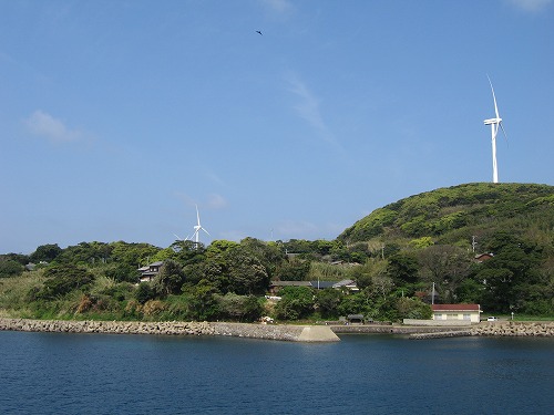 的山大島5