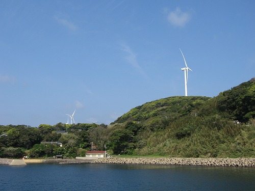 的山大島6