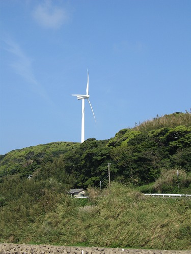 的山大島16