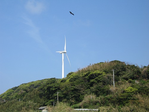 的山大島8