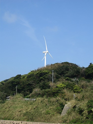 的山大島17