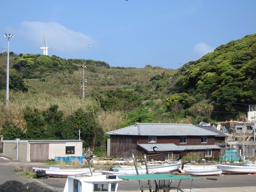 的山大島10