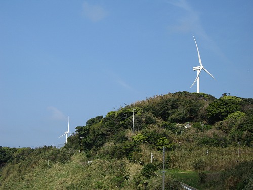 的山大島11