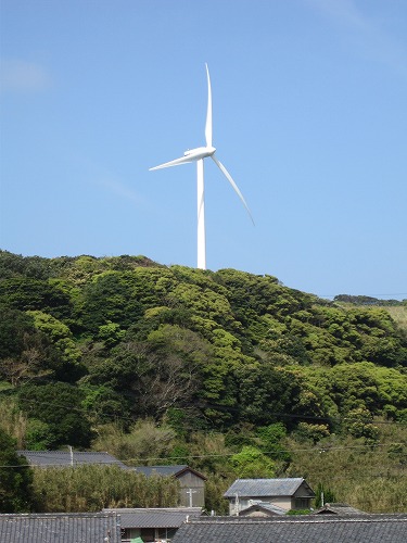 的山大島14