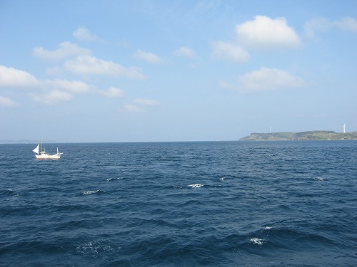 的山大島1