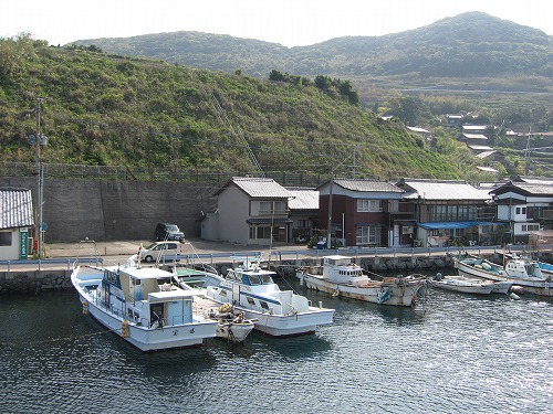 的山大島6