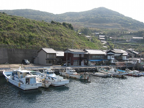 的山大島7