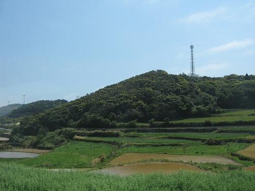 的山大島10