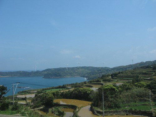 的山大島11