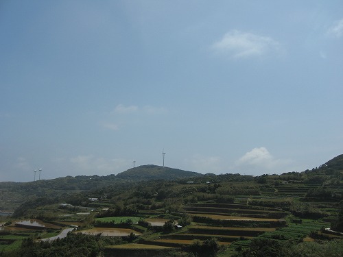 的山大島12