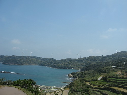 的山大島13