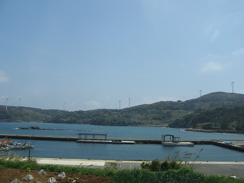 的山大島16