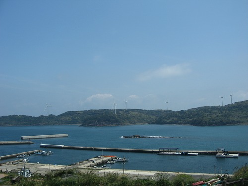 的山大島17