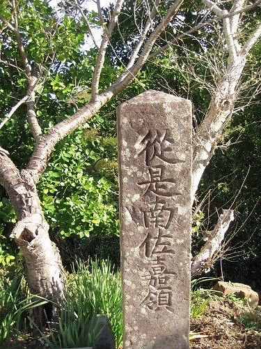 歴史の道2