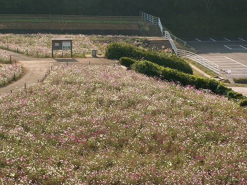 展開峰展望公園18