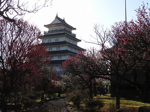 古野梅園14