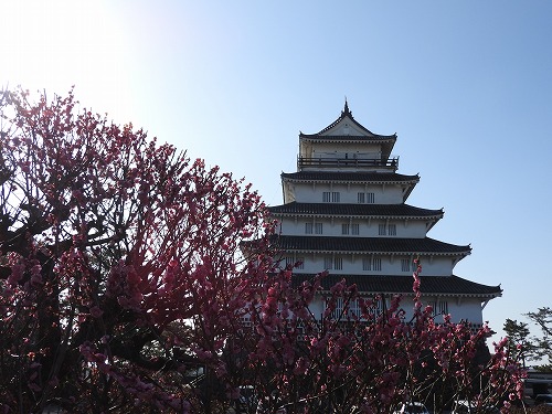 古野梅園12