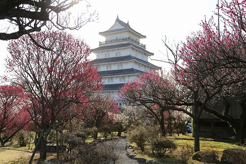 古野梅園1