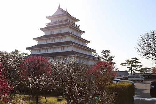 古野梅園3