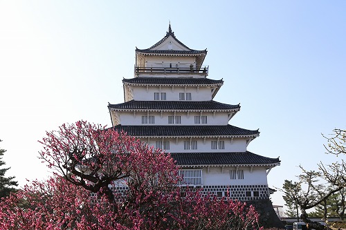 古野梅園10