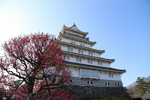 古野梅園11