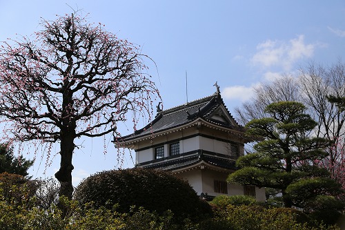 櫓5