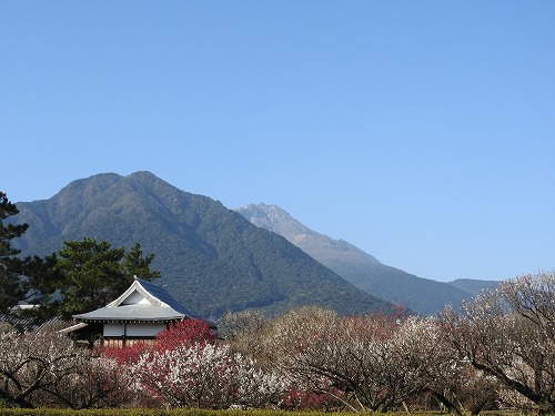 島原城6