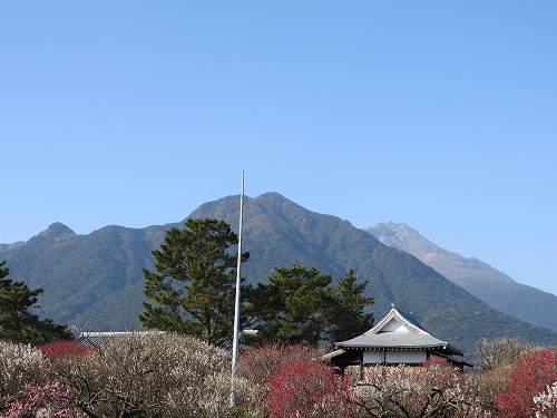 島原城7