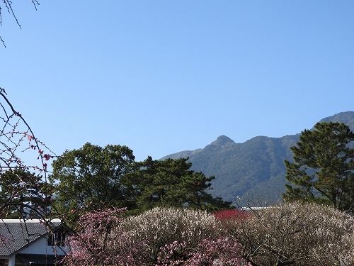 島原城8