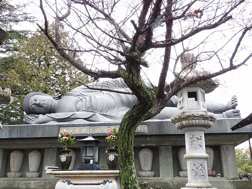 江東寺9
