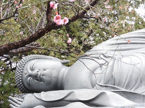 江東寺11